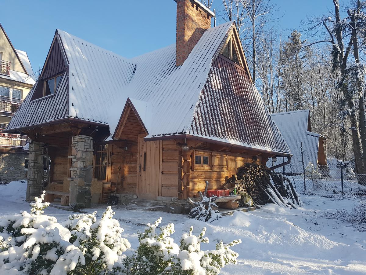 Domek Drewniany Tetmajera Centrum Закопане Екстер'єр фото