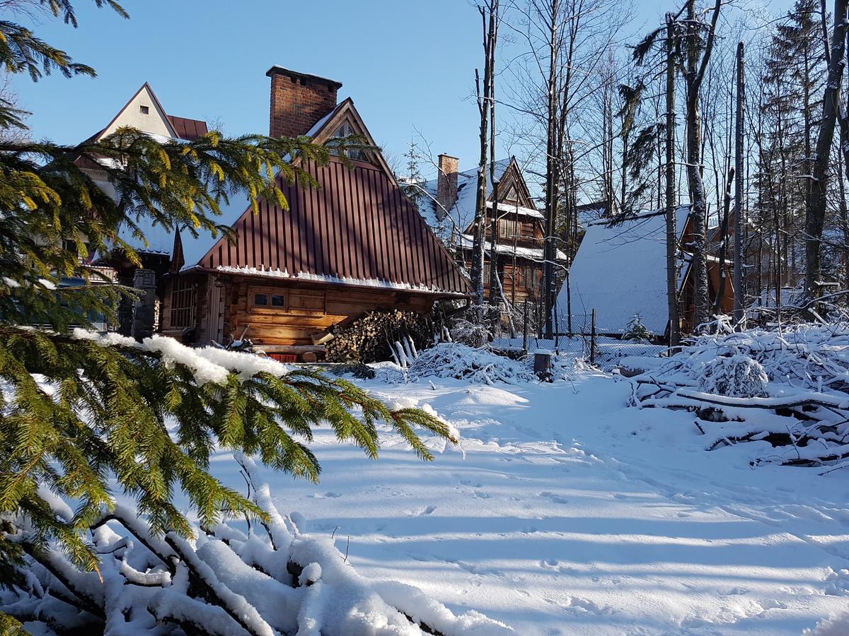 Domek Drewniany Tetmajera Centrum Закопане Екстер'єр фото